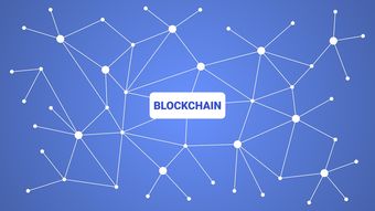 爱游戏娱乐-英超青训采用虚拟现实技术强化战术理解与应变能力，英超试训