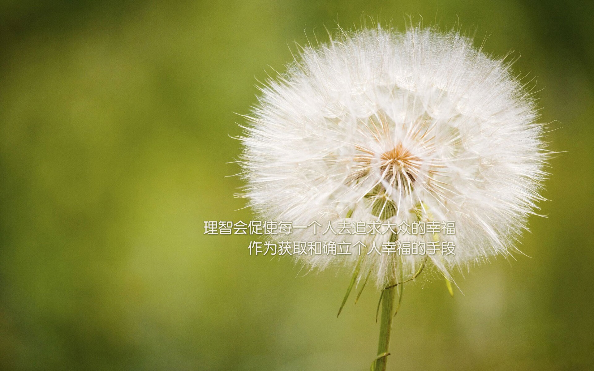 五大联赛门将站位数据背后的技战术含义,门将站位图