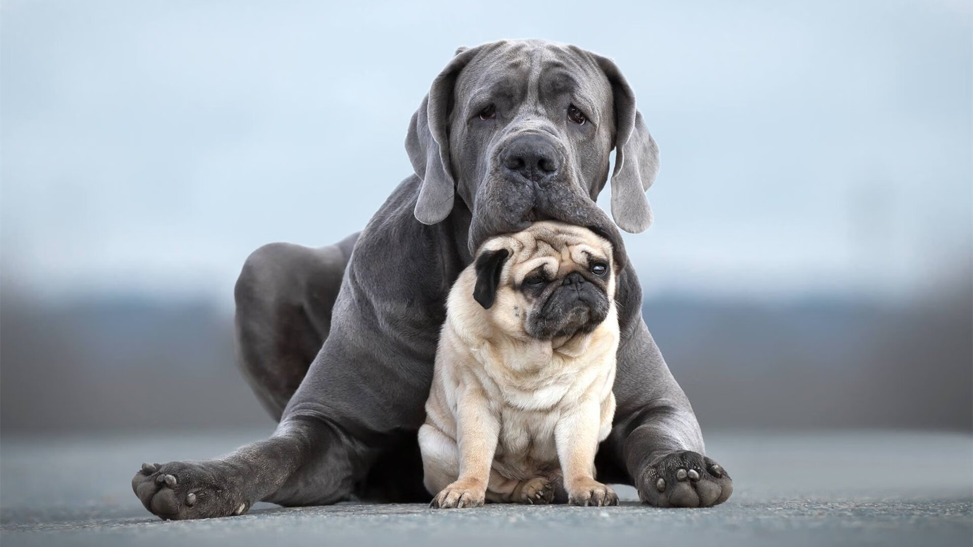 爱游戏中国官方网站平台-仰泳配速变化策略显效果，仰泳完整配合的重难点是什么