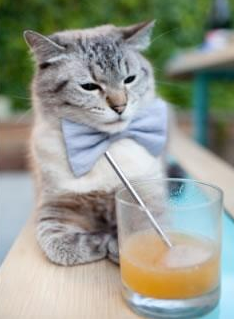 沃尔夫斯堡节奏掌控更胜一筹,沃尔夫斯堡视频