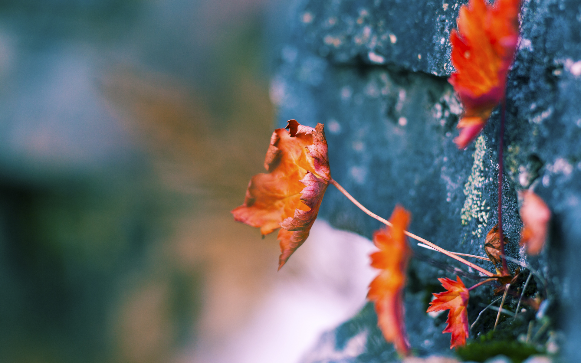 转身技术成200米自由泳隐形胜点，自由泳转身多少度