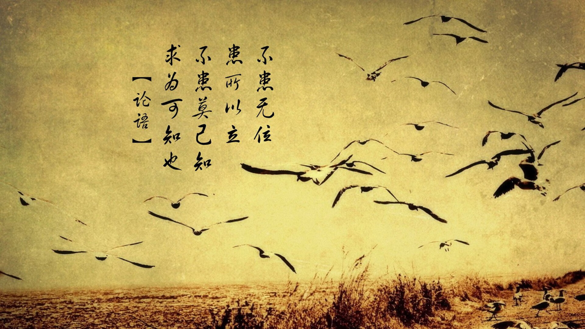 “亚戈·卡尔曼的传球与配合，助力阿根廷美洲狮队成为世界强队”