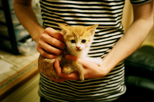 划频–划幅配合协同性提高，划幅和划频