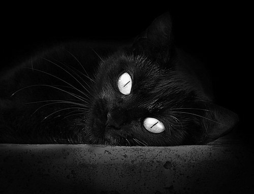 国家运动计划发布展览预告公众开放时间安排，国家运动总局官网