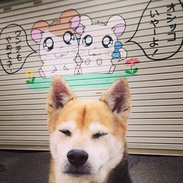 爱游戏电竞官网-大卫·波波维奇用速度与耐力完美结合，波波维奇为什么