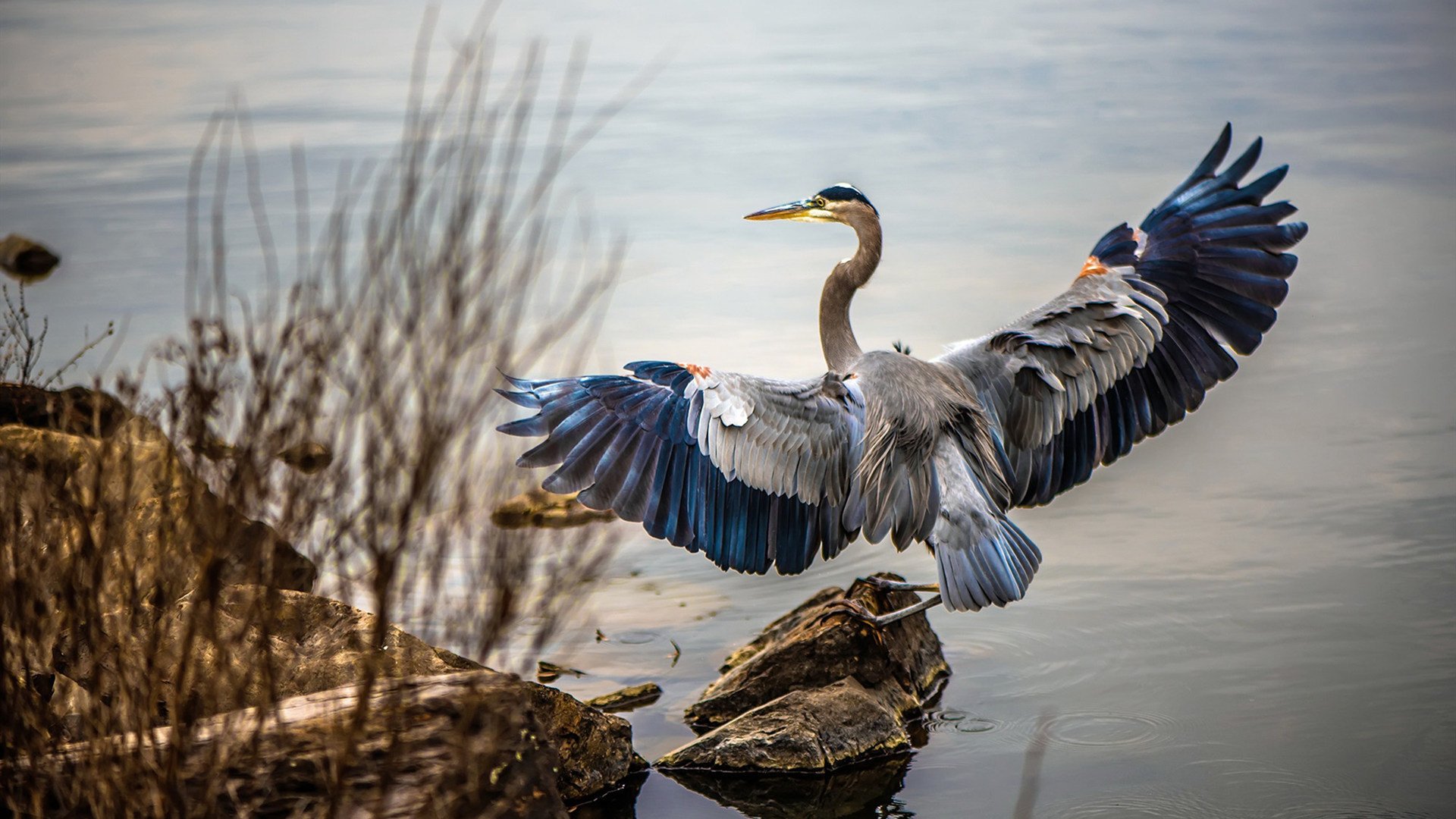 特色足球题材影剧作品不断推出，弘扬体育精神，以足球为题材的电影